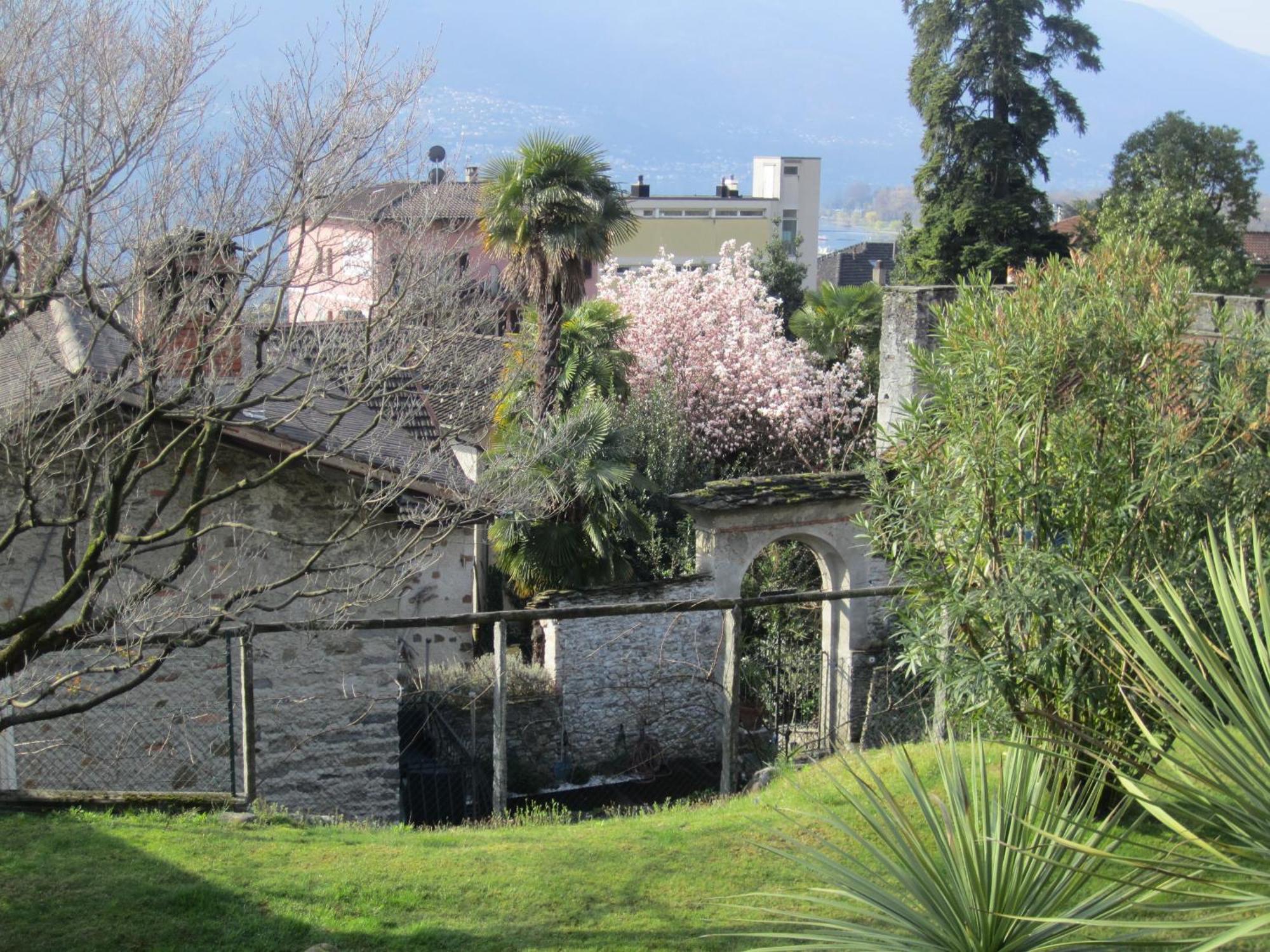 Muralto-Locarno: Miramonti Apt. 8 ภายนอก รูปภาพ